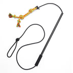 Pet Training Stick with Knot Toy