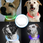 USB Rechargeable LED Pet Safety Collar