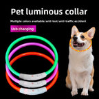 USB Rechargeable LED Pet Safety Collar