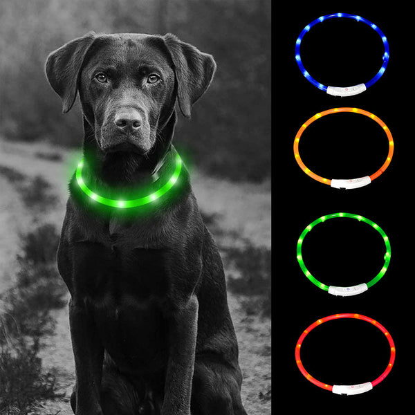 USB Rechargeable LED Pet Safety Collar