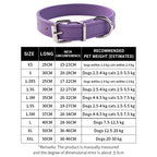 Pet collar