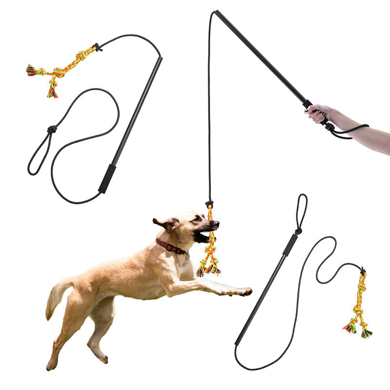 Pet Training Stick with Knot Toy