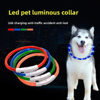 USB Rechargeable LED Pet Safety Collar