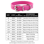 Pet collar